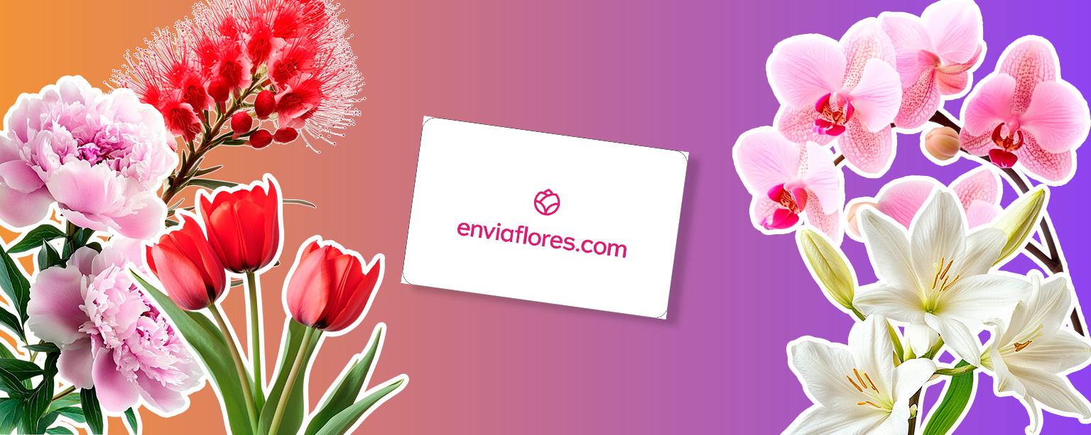 enviaflores
